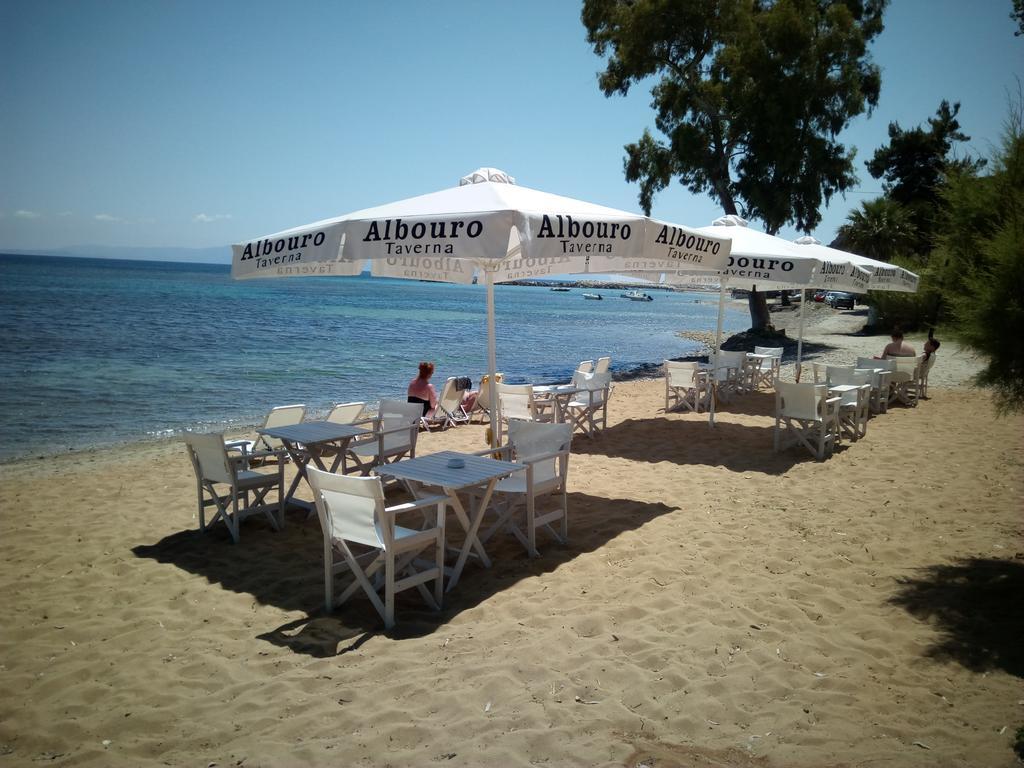 Albouro Seafront Hotel 3*