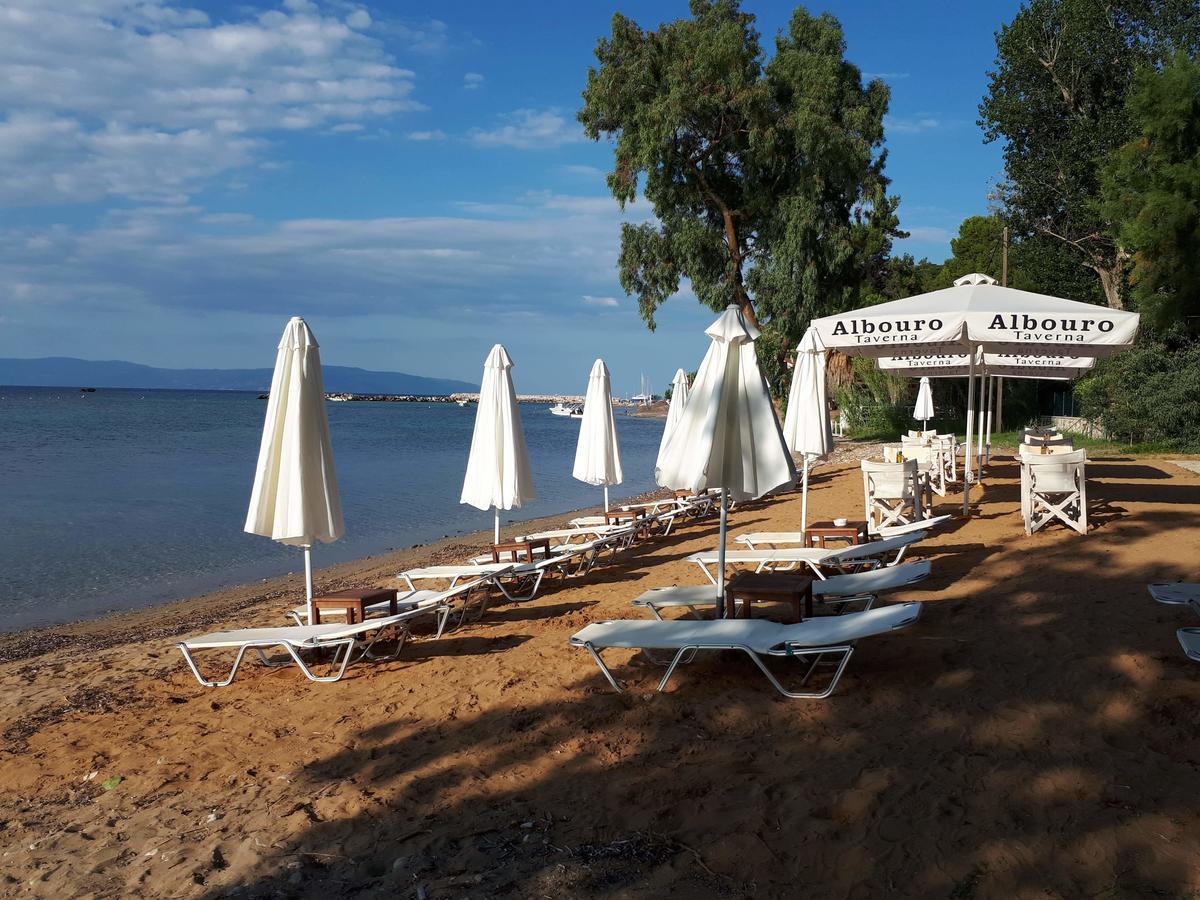 Albouro Seafront Hotel Katelios